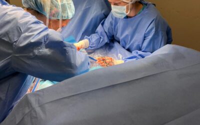 Castration in Horses – Open Vs. Closed Approach